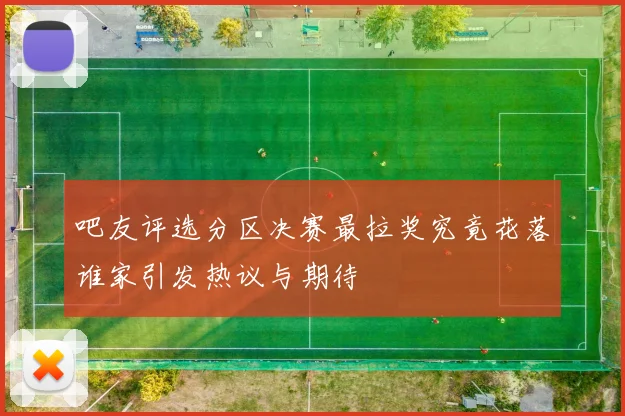 吧友评选分区决赛最拉奖究竟花落谁家引发热议与期待