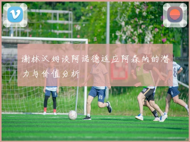 谢林汉姆谈阿诺德适应阿森纳的潜力与价值分析